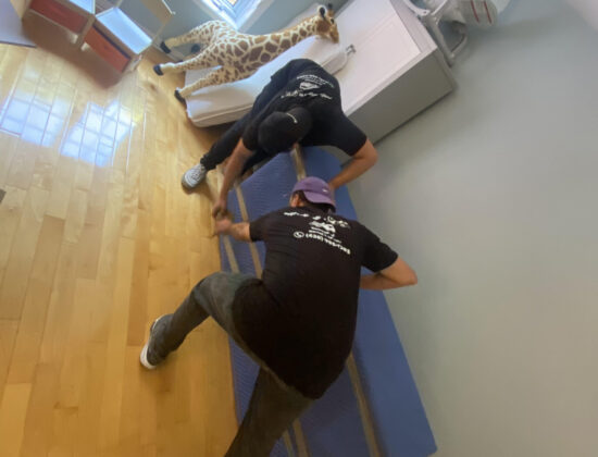 Professional Movers MTL