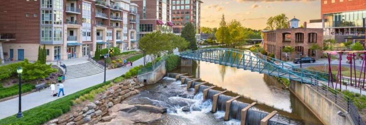 Swamp Rabbit Moving
