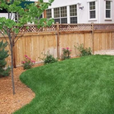 Ascend Landscaping and Irrigation